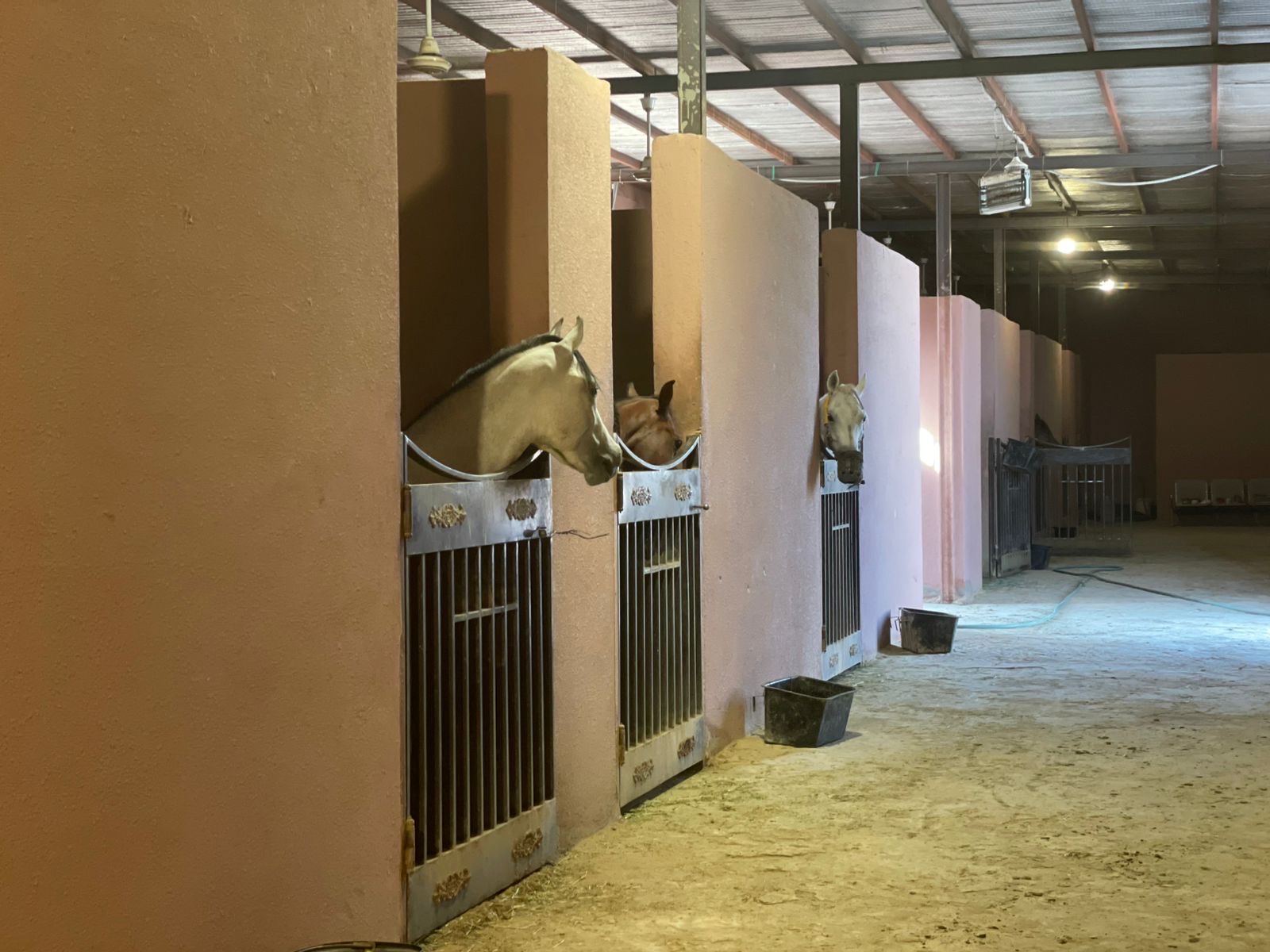 Rest House-قريه ديراب-غير محدد