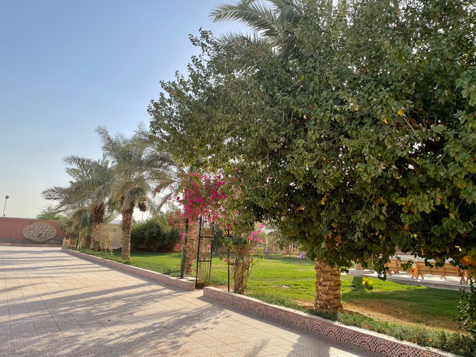 Rest House-قريه ديراب-غير محدد