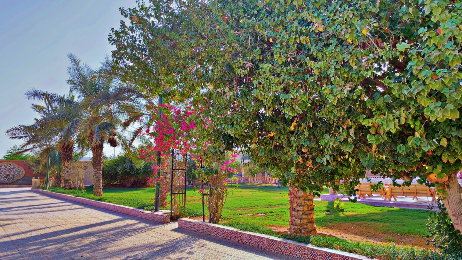 Rest House-قريه ديراب-غير محدد